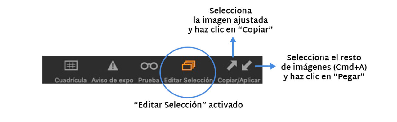 Primeros pasos con Capture One (II) - Capture One Trainer