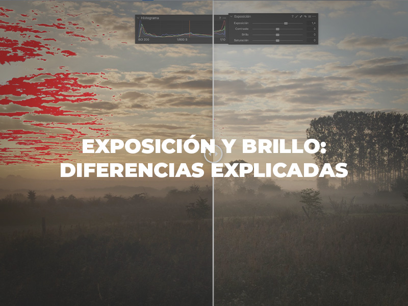 exposicion y brillo las diferencias explicadas