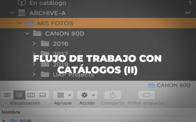 Flujo de trabajo con Catálogos (II)