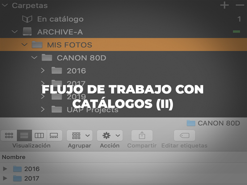 Flujo de trabajo con Catálogos (II)