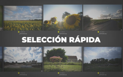 Selección rápida