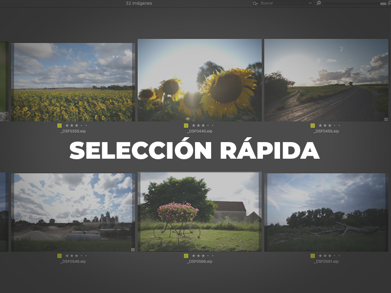 Selección rápida